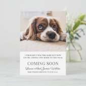 妊娠フラットアナウンスメントカード 案内状 (スタンド正面)