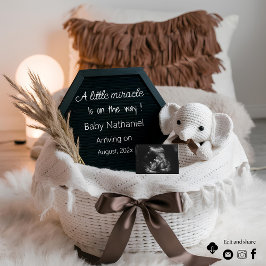 妊娠ミニマル男女兼用発表 招待状