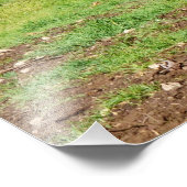 妊娠中の女性が乗ったゲロウェイ牛 フォトプリント            (角)