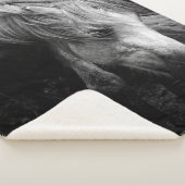 妊娠中ダートモアポニーマーレポートレート シェルパブランケット (3/4)