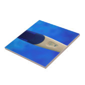 妊娠前向き検査 タイル (側面)