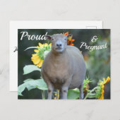 妊娠告知カード 案内ポストカード (正面/裏面)