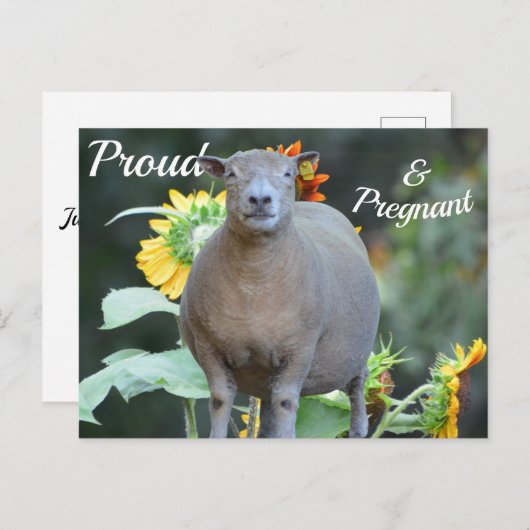 妊娠告知カード 案内ポストカード (正面/裏面)