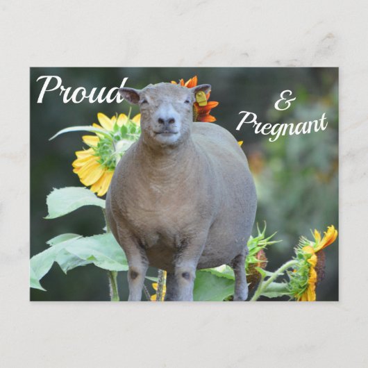 妊娠告知カード 案内ポストカード (正面)