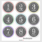 妊娠毎月のベビーバンプシール シール (シート)