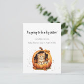 妊娠発表ハロウィーン姉 ポストカード (スタンド正面)