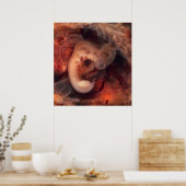 妊娠7週目のヒト胚Peek P.O. ポスター (キッチン)