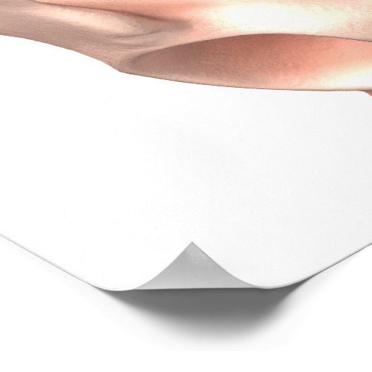 妊娠 ポスター (角)