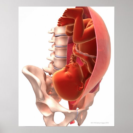 妊娠 ポスター (正面)