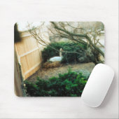 妊婦 マウスパッド (マウス)