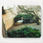 妊婦 マウスパッド (正面)