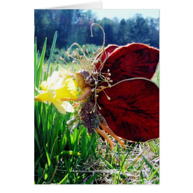 妖精が水仙の中 (正面)