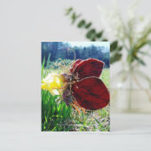 妖精が水仙の中 ポストカード (スタンド正面)