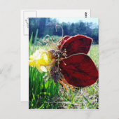 妖精が水仙の中 ポストカード (正面/裏面)