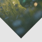 妖精が竜を訓練する 薄葉紙 (詳細)