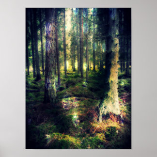 妖精たちの間で ポスター