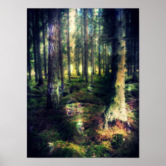 妖精たちの間で ポスター (正面)