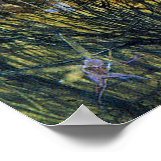 妖精とウサギ ポスター (角)