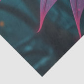 妖精と猫。 薄葉紙 (詳細)