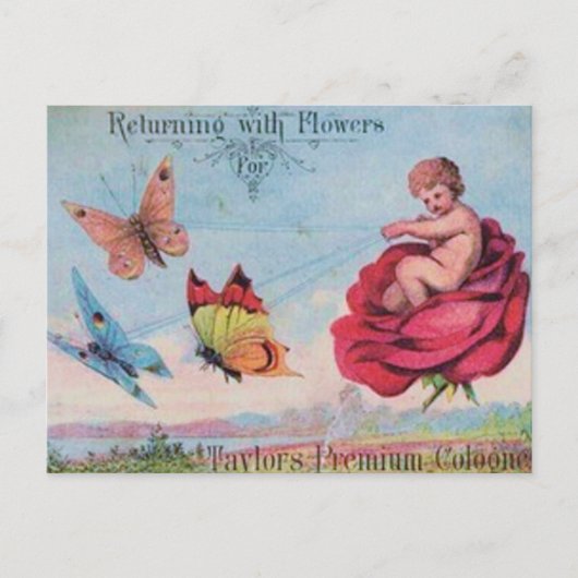 妖精と蝶ケルンアド ポストカード (正面)