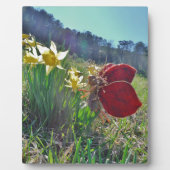 妖精と黄色の花 フォトプラーク (正面)