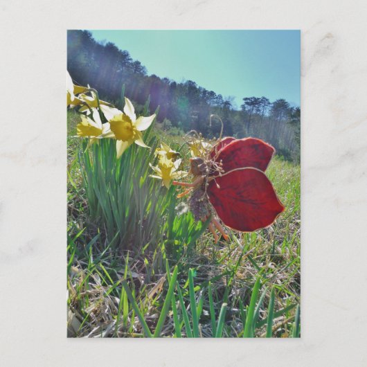 妖精と黄色の花 ポストカード (正面)