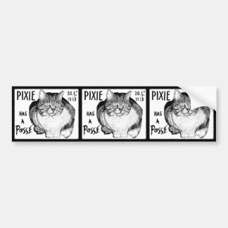 妖精に置かれる武装隊のステッカーがあります バンパーステッカー