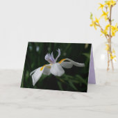 「妖精のアイリス」グリーティングカード カード (黄色い花)