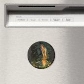 妖精のサークル妖精の真夏のイブ マグネット (インサイチュ (食洗機))