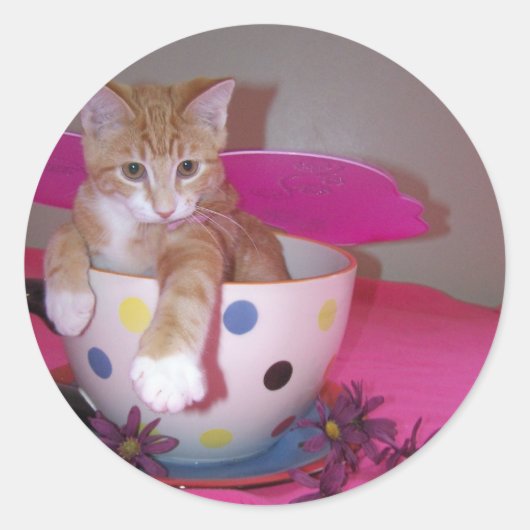 妖精のシール ラウンドシール (正面)