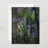 妖精のライト超現実的な森 ポストカード (正面/裏面)