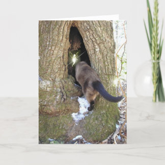 妖精の友人カード カード