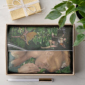 妖精の国からの願い 薄葉紙 (ギフト)