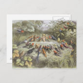 妖精の国でのリハーサル（In Fairyland: A Series of Pictures fro ポストカード (正面/裏面)