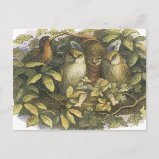 妖精の国は1870年、フクロウの妖精 ポストカード (正面)