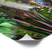 妖精の国 ポスター (コーナー)