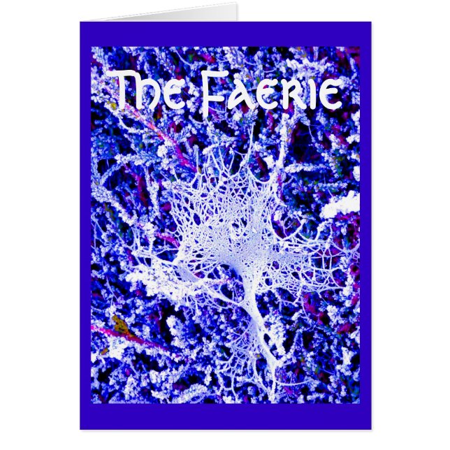 妖精の国-蜘蛛の巣 (正面)