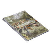 妖精の土地でのリハーサル、'In Fからのイラストレーション ノートブック (右側)