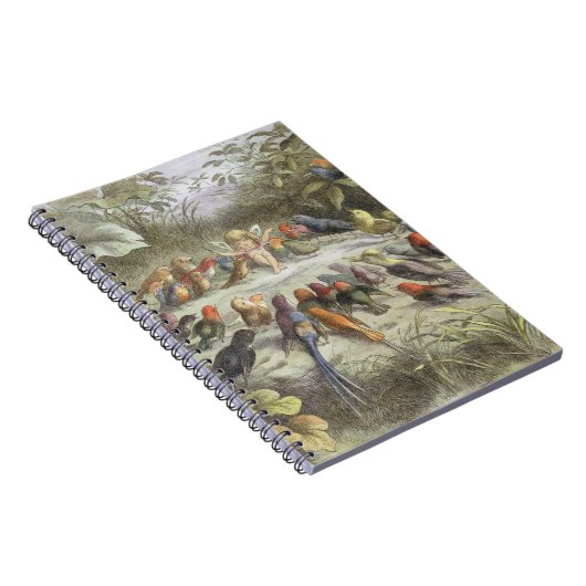 妖精の土地でのリハーサル、'In Fからのイラストレーション ノートブック (右側)