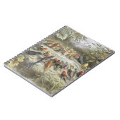 妖精の土地でのリハーサル、'In Fからのイラストレーション ノートブック (左側)