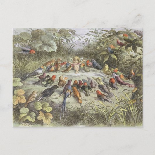 妖精の土地でのリハーサル、'In Fからのイラストレーション ポストカード (正面)