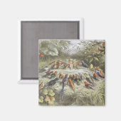 妖精の土地でのリハーサル、'In Fからのイラストレーション マグネット (正面/裏面)