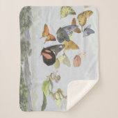 妖精の女王の馬車 |小妖精や小人ワールド シェルパブランケット (正面)