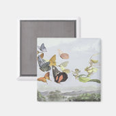 妖精の女王の馬車 |小妖精や小人ワールド マグネット (正面/裏面)