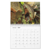 妖精の家が見つかった自然 カレンダー (1月 2027)