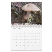 妖精の家が見つかった自然 カレンダー (3月 2027)