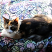 妖精の庭ガーデニング花園の妖精 シェルパブランケット