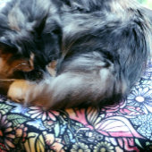 妖精の庭ガーデニング花園の妖精 シェルパブランケット