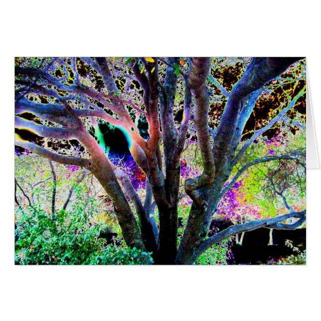 妖精の木 (正面横)