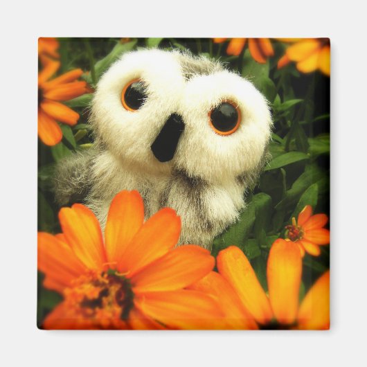 妖精の検索を続ける… マグネット (正面)